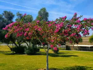 Ray Smucker Park
