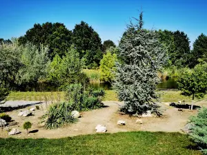 Botanical Garden SPU