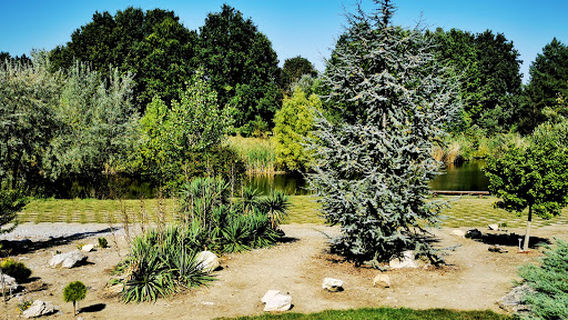 Botanical Garden SPU