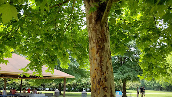 Lake Meade Park