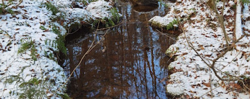 Haliburton Highlands Water Trails- Frost Centre Access Point
