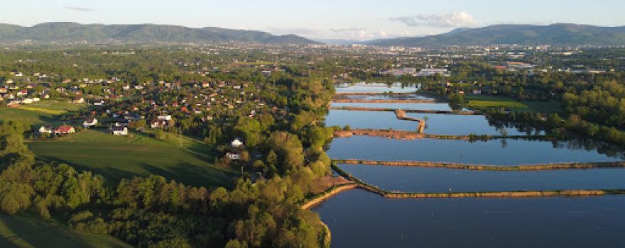 Stawy Komorowice