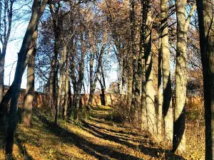 Парк Дмитрия Кантемира