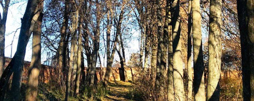 Park Dmitriya Kantemira