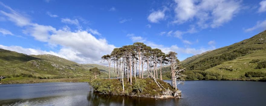 Eilean na Moine- The Dumbledore's Grave