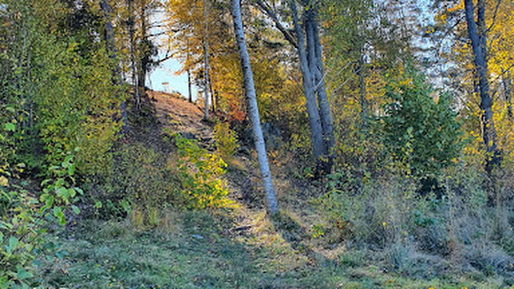 Ljungby Discgolfbana