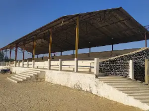 Stadium
