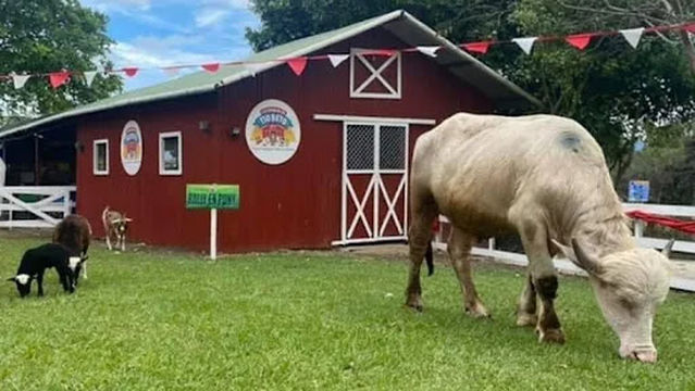 La Granja De Tio Beto