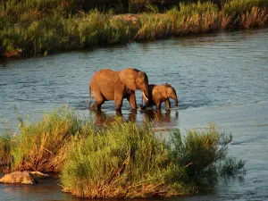 River View of Kruger National Park The Krans