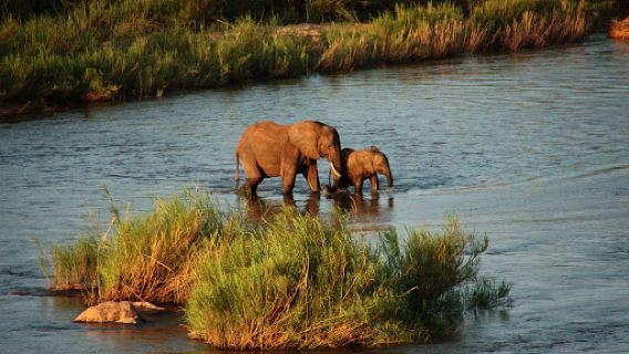 River View of Kruger National Park The Krans