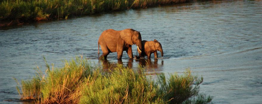 River View of Kruger National Park The Krans
