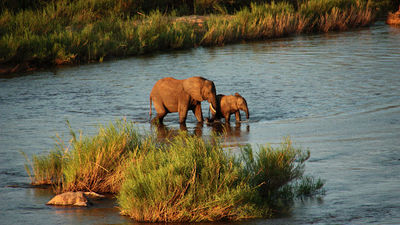 River View of Kruger National Park The Krans