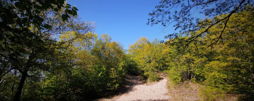 Hawk Campground