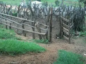 Umkhosi woMhlanga