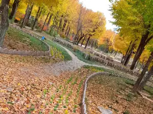Boroujen Mellat Park