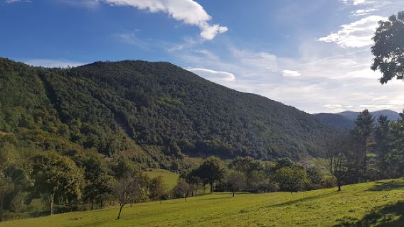 Nuevo Bosque De Oma