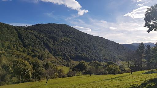 Nuevo Bosque De Oma