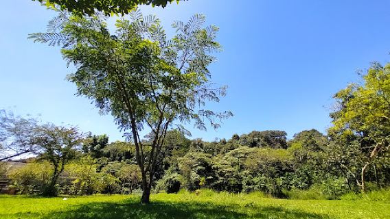 Jardim Botânico de Goiânia