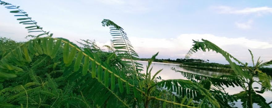 Jhapratola (Mominpur)