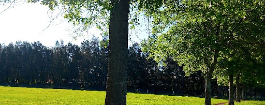 Girraween Park