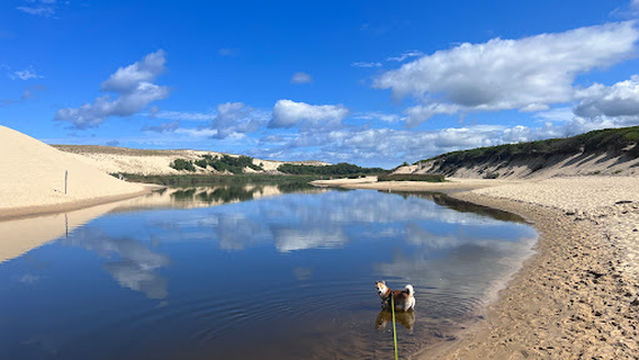 Natural Reserve of the Courant d'Huchet