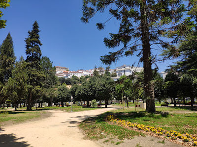 Parque da Cidade Manuel Braga