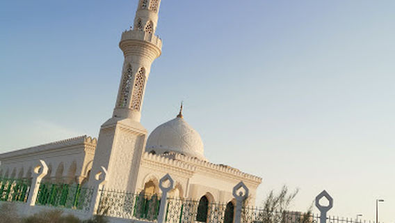 Amr ibn al-Masjid Obstreperousness