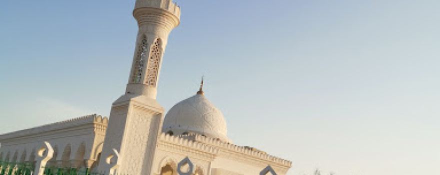 Amr ibn al-Masjid Obstreperousness