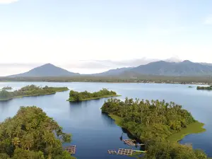 Tanjung van dijken