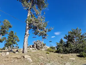 Col del Pam