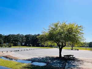 James A Brown Park