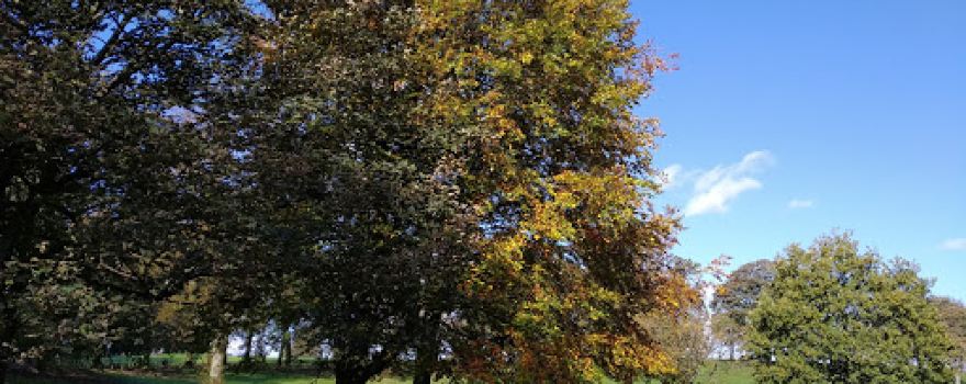 Springfield Park
