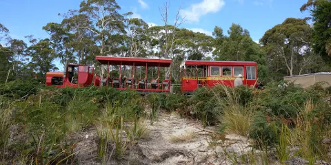 Ida Bay State Reserve