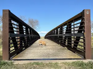 Olson Nature Preserve