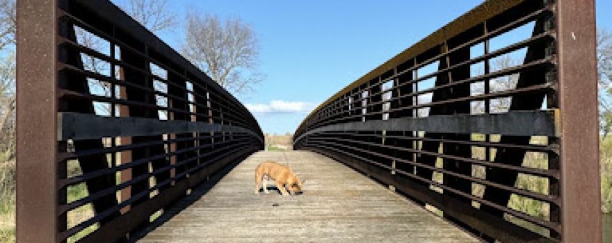 Olson Nature Preserve