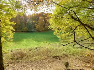 Wildpark Brudergrund