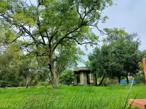 Kesar Baug