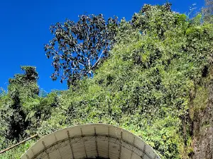 Los cristos (Santa rosa de Osos)