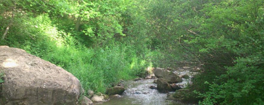 Halil Çıvgın Parkı