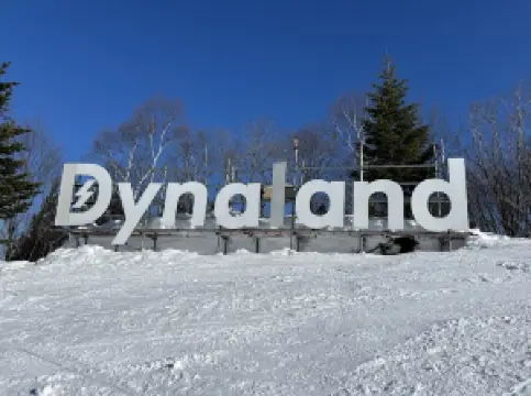 ダイナランド