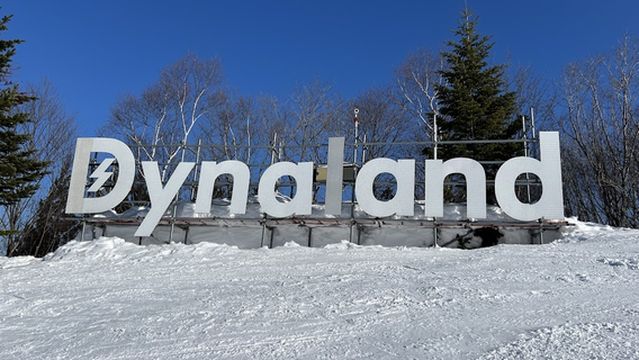 DynaLand
