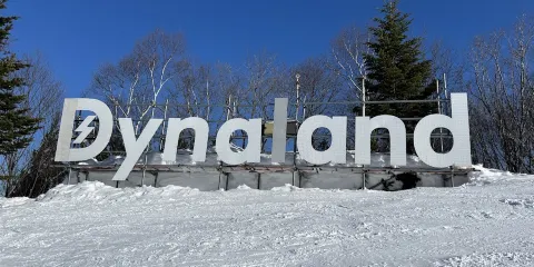 DynaLand