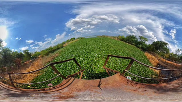 Walkers Club MADURAI