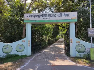 Shaheed Chandra Shekhar Azad Bird Sanctuary, Nawabganj