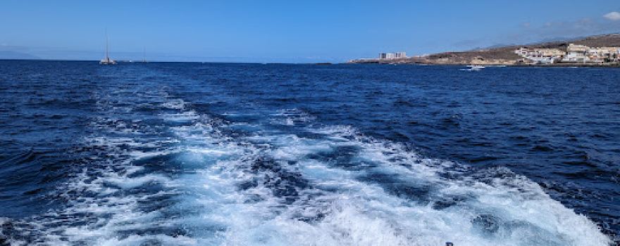 Monte Cristo Catamaran, 5-star Whale and Dolphin Tours, Boat Trips Tenerife
