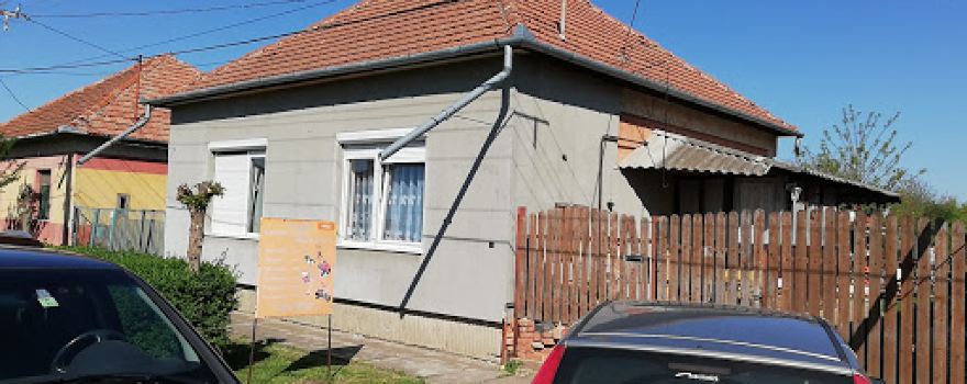 N-GO Erdészeti-kerti kisgép szervíz