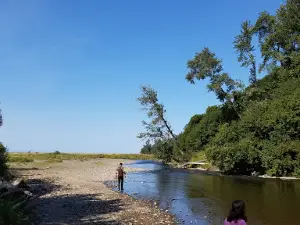 Halibut Campground