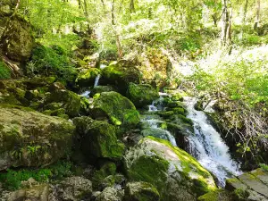 Vazova trail - start from Zasele village