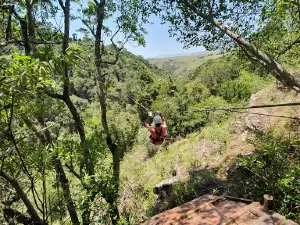 Drakensberg Canopy Tour