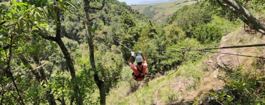 Drakensberg Canopy Tour